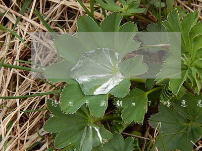 信用卡逾期m7啥意思 信用卡逾期m7啥意思