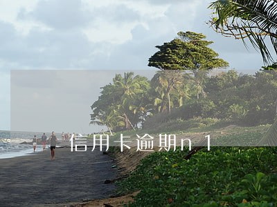 信用卡逾期n1 信用卡逾期n1