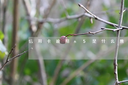 信用卡逾期n5是什么意思