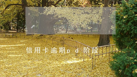 信用卡逾期pd阶段 信用卡逾期pd阶段