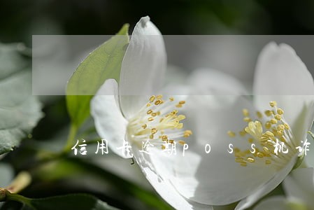 信用卡逾期poss机诈骗 信用卡逾期poss机诈骗