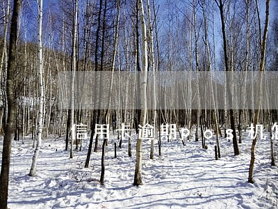信用卡逾期pos机怎么还 信用卡逾期pos机怎么还