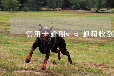 信用卡逾期qq邮箱收到警告