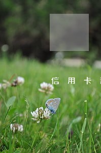 信用卡逾期ta 信用卡逾期ta