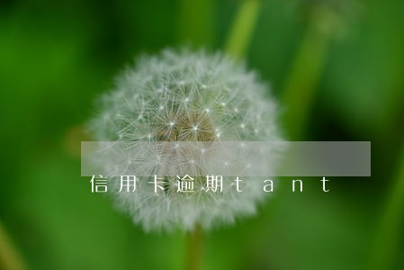 信用卡逾期tant