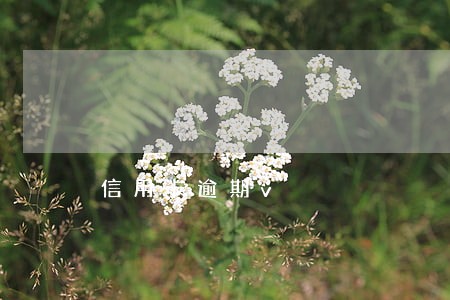 信用卡逾期v 信用卡逾期v