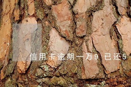 信用卡逾期一万9已还5千多