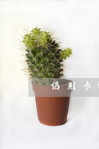 信用卡逾期一万一个月利息 信用卡逾期一万一个月利息