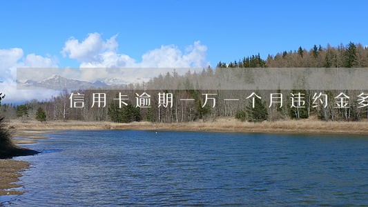 信用卡逾期一万一个月违约金多少 信用卡逾期一万一个月违约金多少