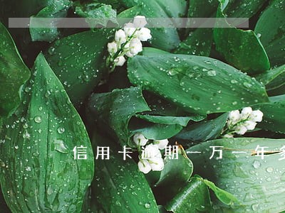 信用卡逾期一万一年多利息 信用卡逾期一万一年多利息
