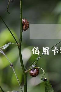 信用卡逾期一万七能起诉吗 信用卡逾期一万七能起诉吗