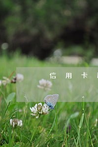 信用卡逾期一万三怎么办