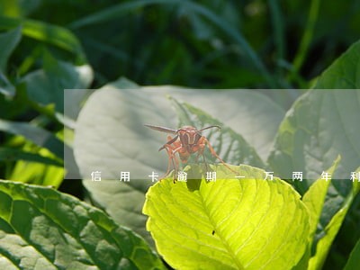 信用卡逾期一万两年利息多少 信用卡逾期一万两年利息多少