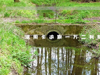 信用卡逾期一万二判刑多少天 信用卡逾期一万二判刑多少天