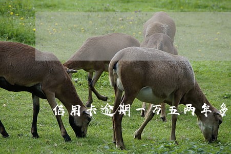 信用卡逾期一万五两年多了 信用卡逾期一万五两年多了