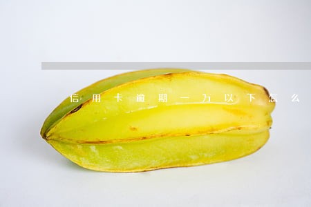 信用卡逾期一万以下怎么办 信用卡逾期一万以下怎么办