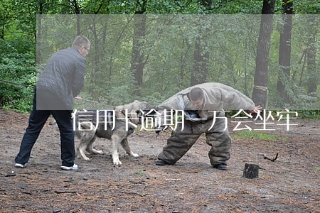 信用卡逾期一万会坐牢