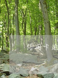 信用卡逾期一万元