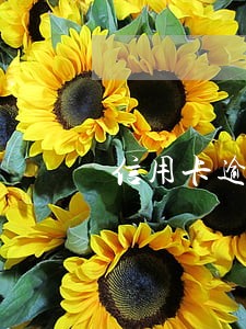 信用卡逾期一万元利息怎么算 信用卡逾期一万元利息怎么算