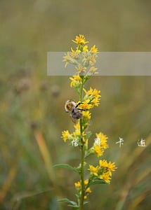 信用卡逾期一万元无力偿还 信用卡逾期一万元无力偿还