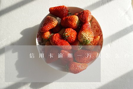 信用卡逾期一万八怎么办