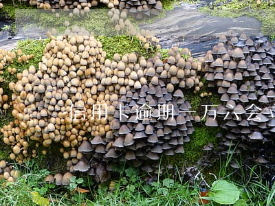 信用卡逾期一万六会立案吗 信用卡逾期一万六会立案吗
