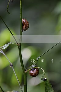 信用卡逾期一万利息一天两百 信用卡逾期一万利息一天两百