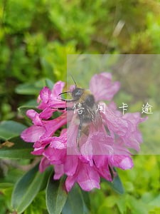 信用卡逾期一万利息怎么算利息 信用卡逾期一万利息怎么算利息