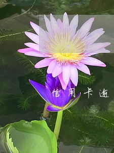 信用卡逾期一万半年有什么后果 信用卡逾期一万半年有什么后果