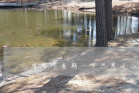 信用卡逾期一万只用还八千 信用卡逾期一万只用还八千
