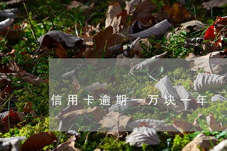 信用卡逾期一万块一年 信用卡逾期一万块一年
