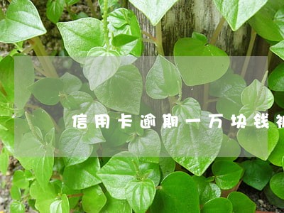 信用卡逾期一万块钱被诉讼 信用卡逾期一万块钱被诉讼