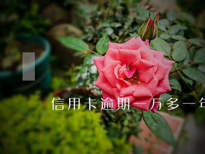信用卡逾期一万多一年了 信用卡逾期一万多一年了