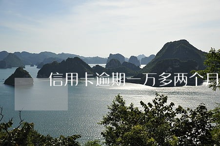 信用卡逾期一万多两个月