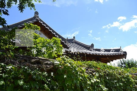 信用卡逾期一万多五个月了