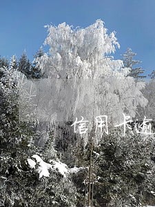 信用卡逾期一万多会坐牢多久 信用卡逾期一万多会坐牢多久
