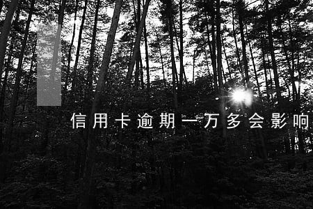 信用卡逾期一万多会影响什么 信用卡逾期一万多会影响什么