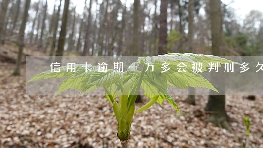 信用卡逾期一万多会被判刑多久