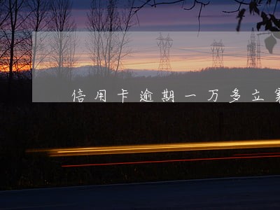信用卡逾期一万多立案后还清