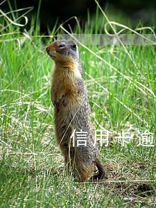 信用卡逾期一万每个月 信用卡逾期一万每个月