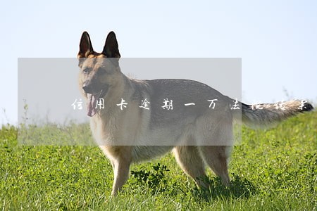 信用卡逾期一万法院传票 信用卡逾期一万法院传票