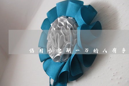 信用卡逾期一万的人有多少次