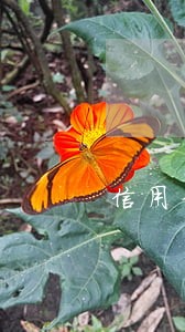 信用卡逾期一万能不能办护照 信用卡逾期一万能不能办护照