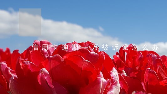 信用卡逾期一万被诉讼怎么办 信用卡逾期一万被诉讼怎么办