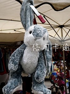 信用卡逾期一万起诉不去
