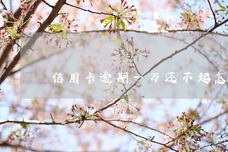信用卡逾期一万还不起怎么办 信用卡逾期一万还不起怎么办
