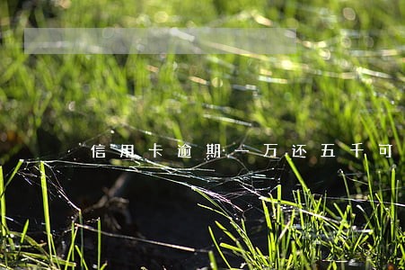信用卡逾期一万还五千可以吗 信用卡逾期一万还五千可以吗