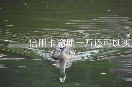 信用卡逾期一万还可以买房 信用卡逾期一万还可以买房