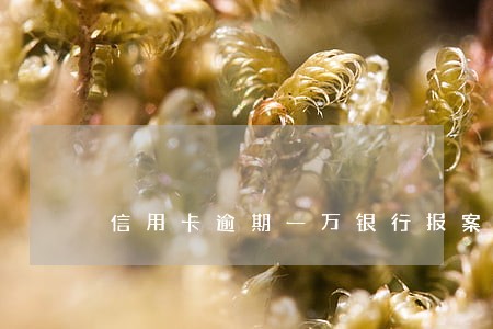 信用卡逾期一万银行报案 信用卡逾期一万银行报案