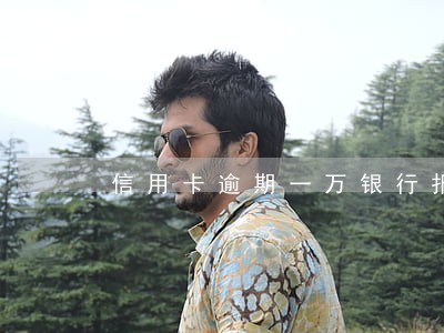 信用卡逾期一万银行报案逾期